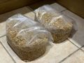 Oats Soak1.jpg